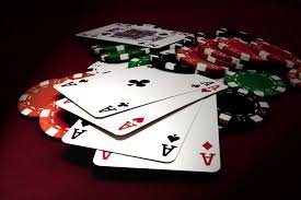 dolphinreef88 Wins of Fortune